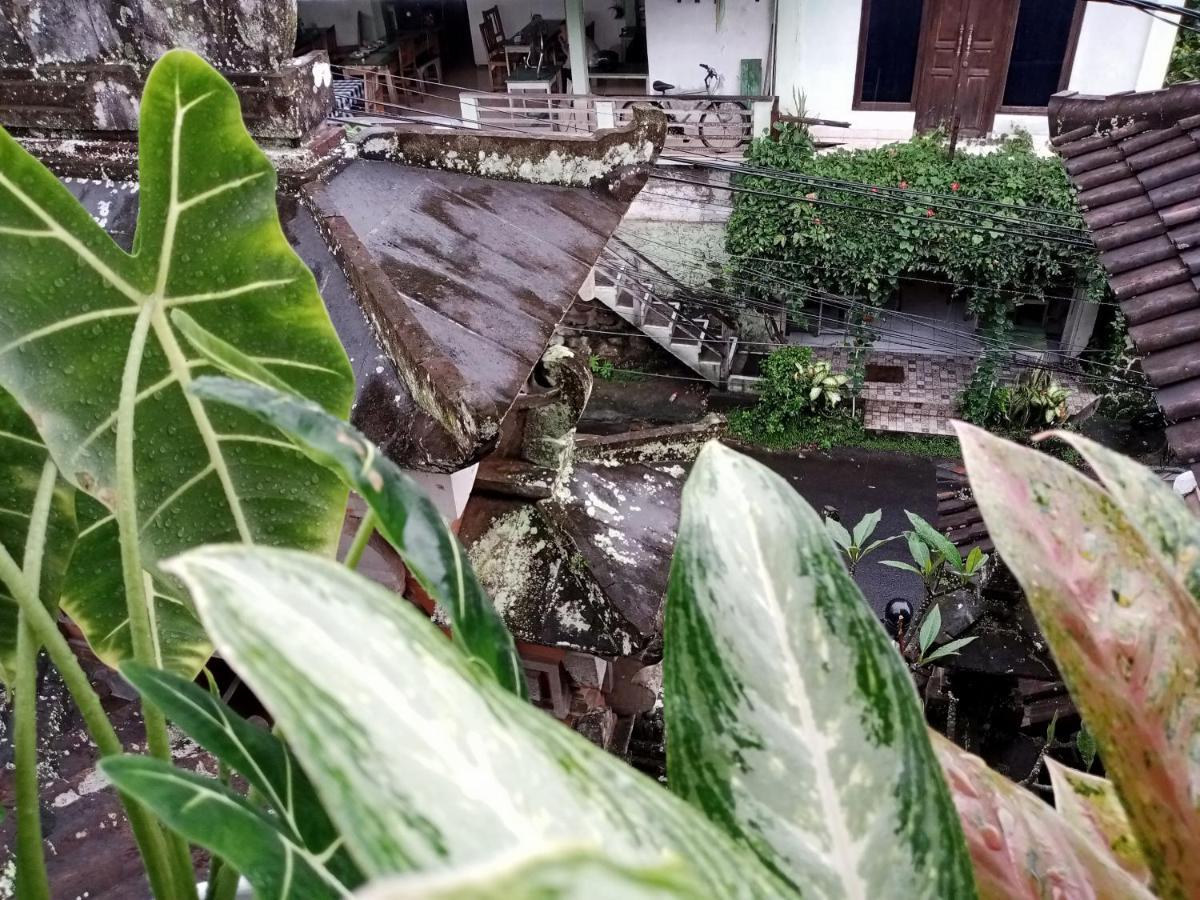 Wah Teja Homestay Ubud Eksteriør bilde